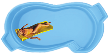 Мартиника