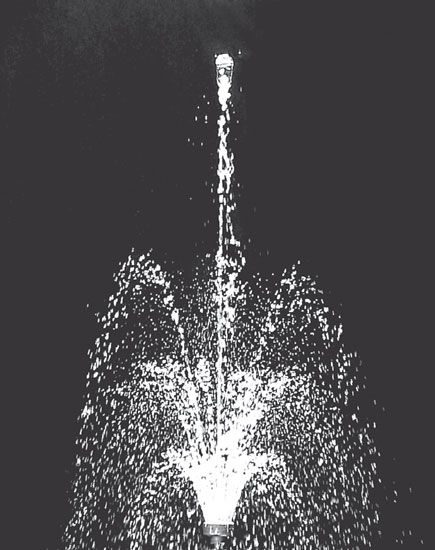 Многоструйные насадки Crown of Jets